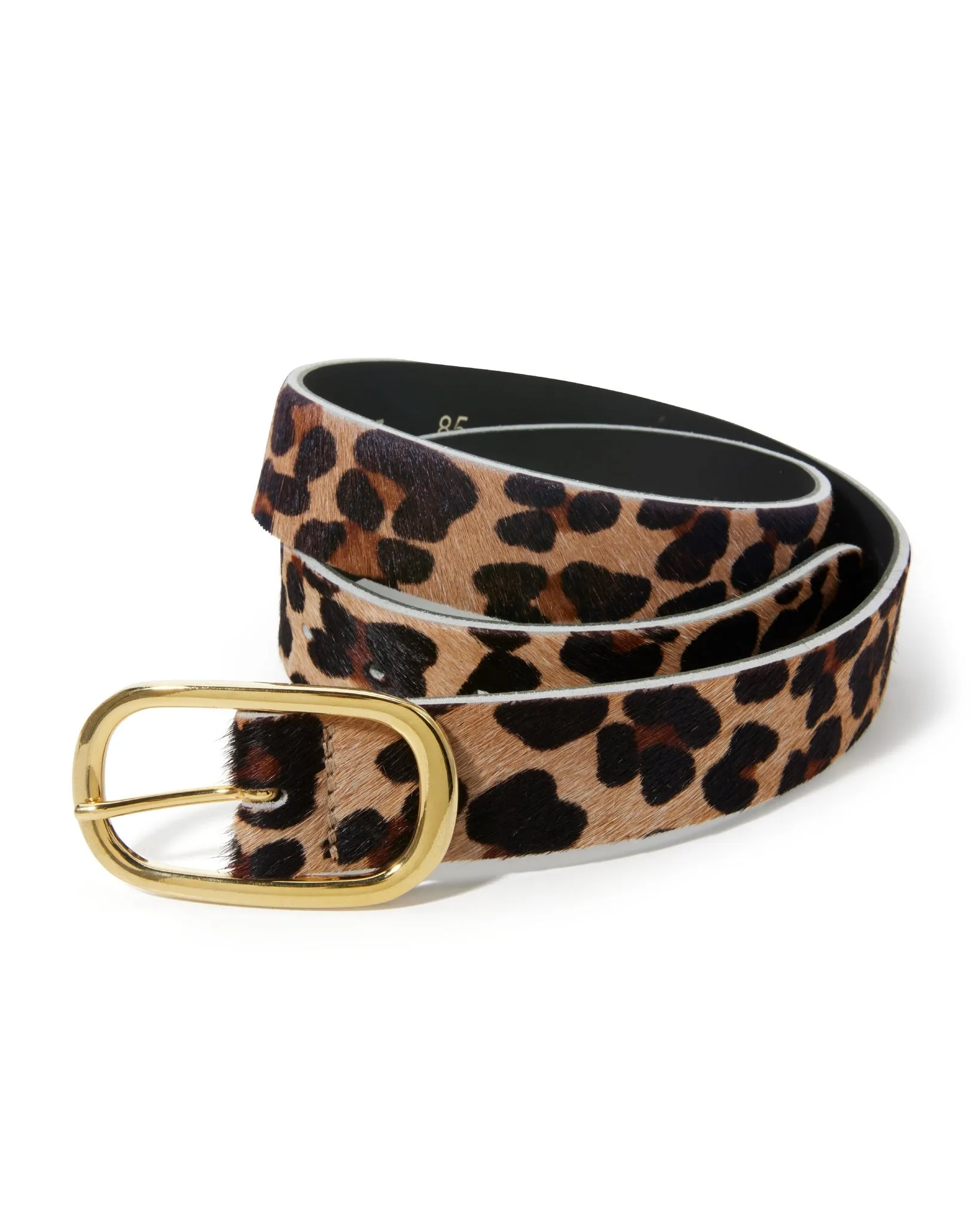 Animal Modern Classic Belt Multi