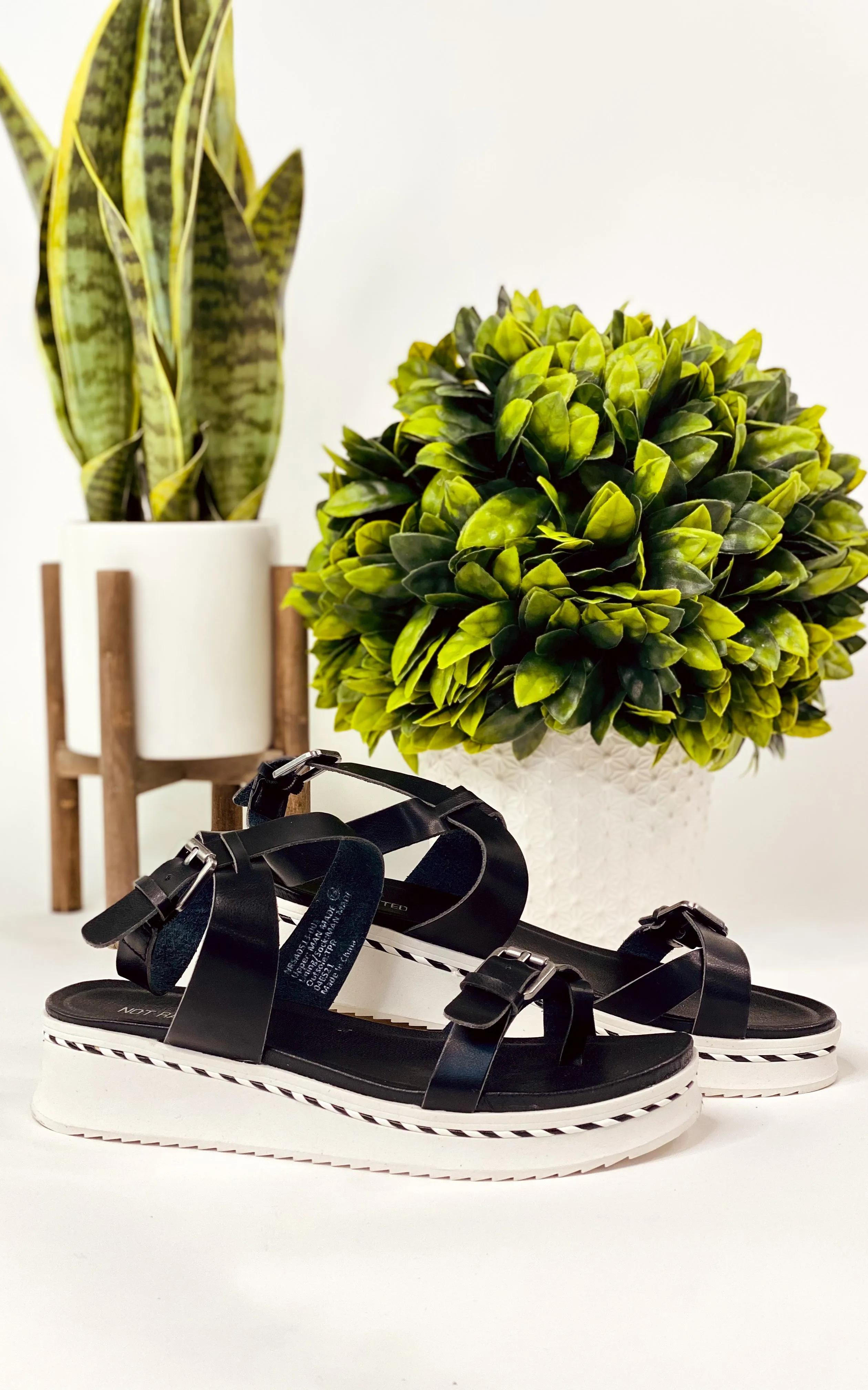 Enna Sandal in Black