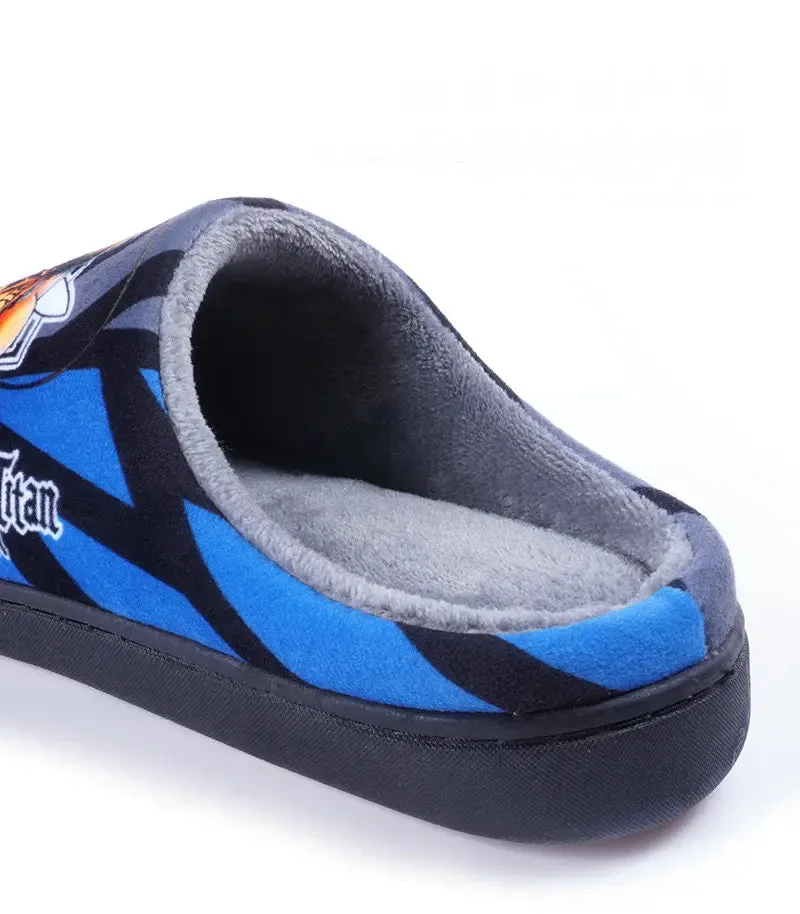 Japanese Anime ONE PIECE Winter House Slippers