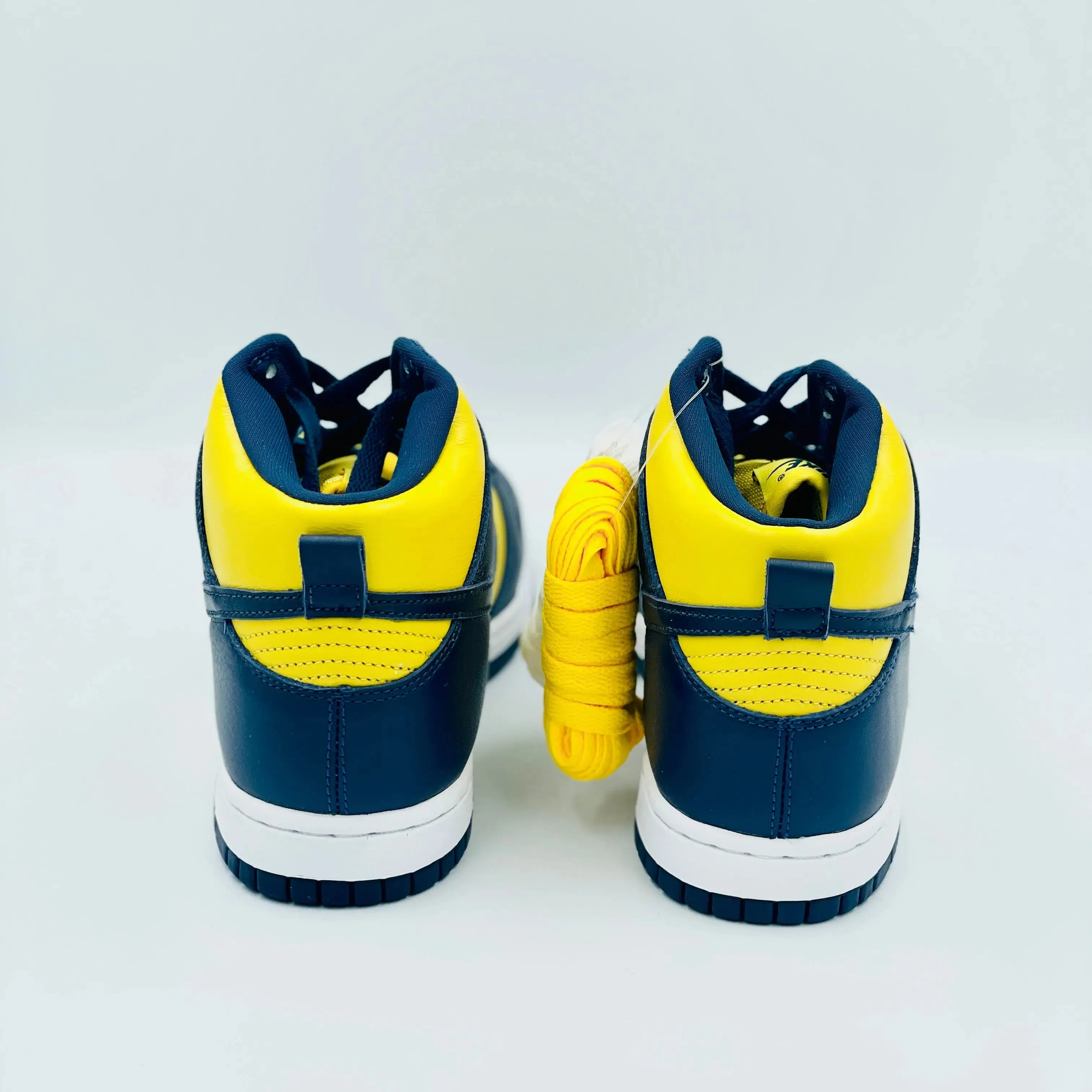 Nike Dunk High Michigan