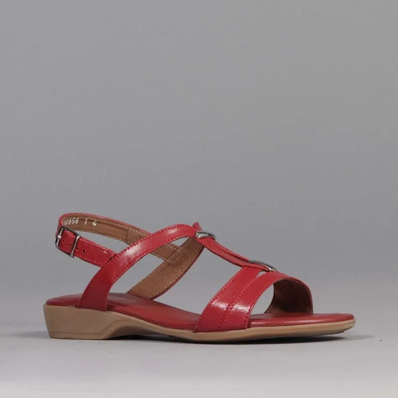 Slingback Flat Sandal in Red - 12617